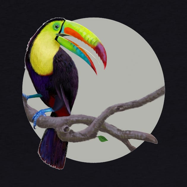 Keel-Billed Toucan by Oniomsra